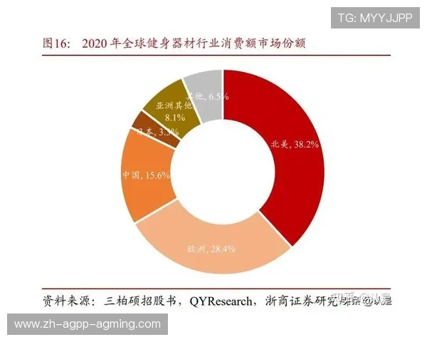 室内健身器材批发渠道与市场分析