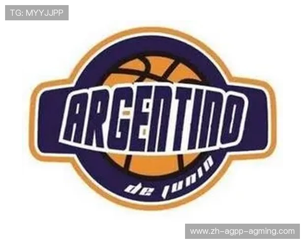 无插件NBA观看方式，畅享无需插件的NBA直播