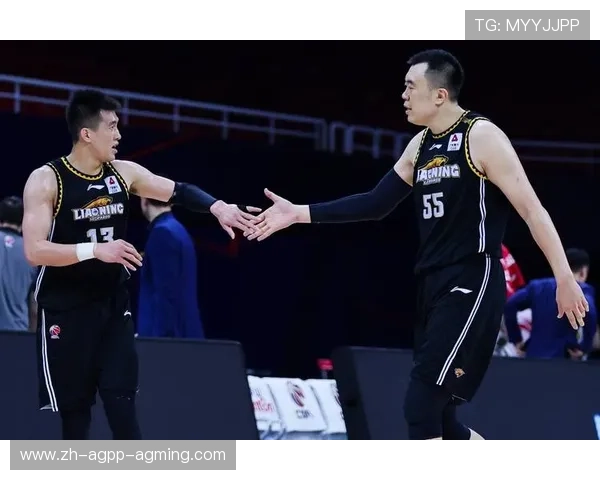 青年裁判成长之路 CBA新生代执法者培养模式的探索与实践