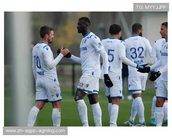 法甲比赛表现分析及球队战术执行力评估