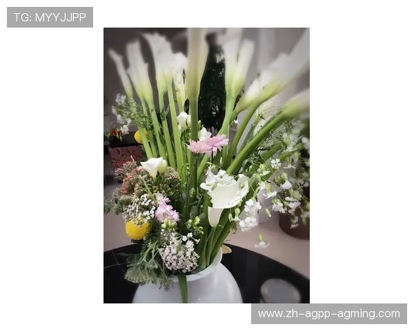 雨天作战的制胜绝招:插花脚贴地斩的精准度强化训练 雨天作战的制胜绝招:插花脚贴地斩的精准度强化训练